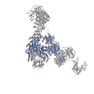 9528_5go9_A_v1-2
Cryo-EM structure of RyR2 in closed state