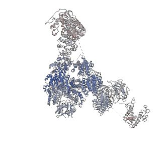 9528_5go9_A_v1-3
Cryo-EM structure of RyR2 in closed state