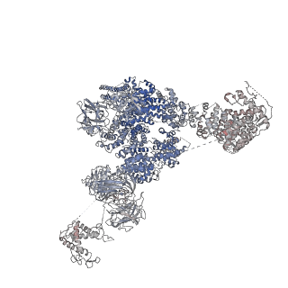 9528_5go9_B_v1-2
Cryo-EM structure of RyR2 in closed state