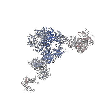 9528_5go9_B_v1-3
Cryo-EM structure of RyR2 in closed state