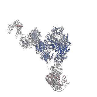 9528_5go9_C_v1-2
Cryo-EM structure of RyR2 in closed state