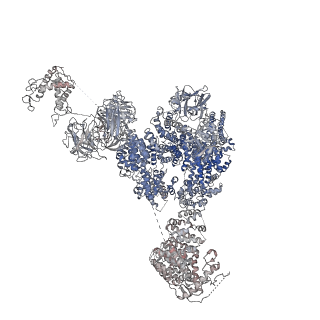 9528_5go9_C_v1-3
Cryo-EM structure of RyR2 in closed state