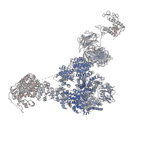 9528_5go9_D_v1-2
Cryo-EM structure of RyR2 in closed state