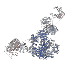 9528_5go9_D_v1-3
Cryo-EM structure of RyR2 in closed state