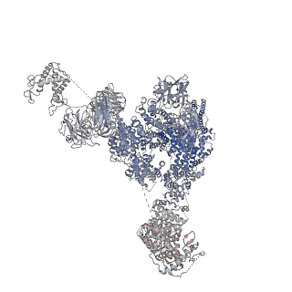 9529_5goa_B_v1-2
Cryo-EM structure of RyR2 in open state