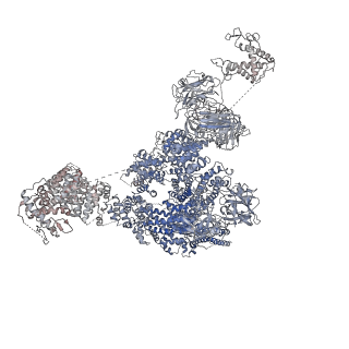 9529_5goa_C_v1-2
Cryo-EM structure of RyR2 in open state