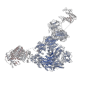 9529_5goa_C_v1-3
Cryo-EM structure of RyR2 in open state