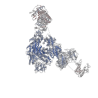 9529_5goa_D_v1-2
Cryo-EM structure of RyR2 in open state