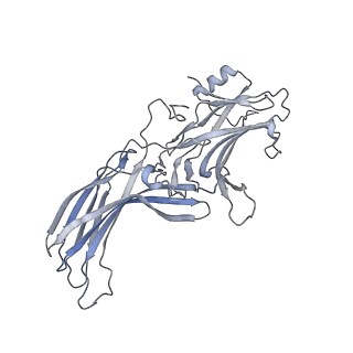 34188_8gp3_A_v1-0
Structure of beta-arrestin1 in complex with a phosphopeptide corresponding to the human C-X-C chemokine receptor type 4, CXCR4