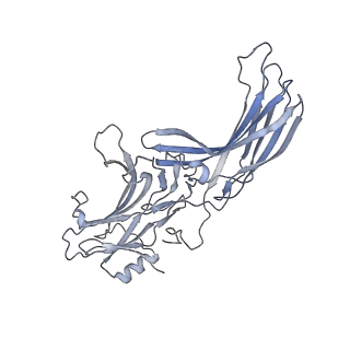 34188_8gp3_B_v1-0
Structure of beta-arrestin1 in complex with a phosphopeptide corresponding to the human C-X-C chemokine receptor type 4, CXCR4