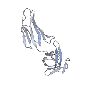 34188_8gp3_H_v1-0
Structure of beta-arrestin1 in complex with a phosphopeptide corresponding to the human C-X-C chemokine receptor type 4, CXCR4