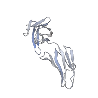 34188_8gp3_I_v1-0
Structure of beta-arrestin1 in complex with a phosphopeptide corresponding to the human C-X-C chemokine receptor type 4, CXCR4