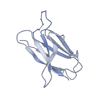 34190_8gp5_F_v1-1
Structure of X18 UFO protomer in complex with F6 Fab VHVL domain