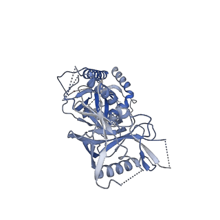 34190_8gp5_X_v1-1
Structure of X18 UFO protomer in complex with F6 Fab VHVL domain