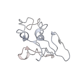 0047_6gq1_AA_v1-1
Cryo-EM reconstruction of yeast 80S ribosome in complex with mRNA, tRNA and eEF2 (GMPPCP/sordarin)
