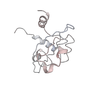 0047_6gq1_AC_v1-1
Cryo-EM reconstruction of yeast 80S ribosome in complex with mRNA, tRNA and eEF2 (GMPPCP/sordarin)