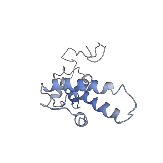 0047_6gq1_AD_v1-1
Cryo-EM reconstruction of yeast 80S ribosome in complex with mRNA, tRNA and eEF2 (GMPPCP/sordarin)