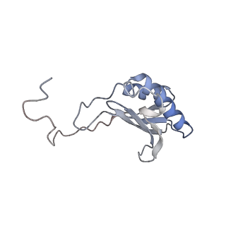 0047_6gq1_AE_v1-1
Cryo-EM reconstruction of yeast 80S ribosome in complex with mRNA, tRNA and eEF2 (GMPPCP/sordarin)