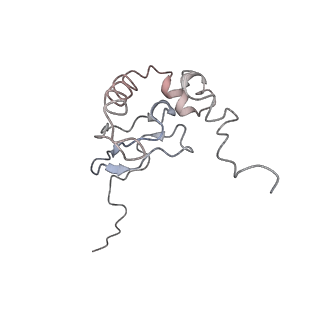 0047_6gq1_AF_v1-1
Cryo-EM reconstruction of yeast 80S ribosome in complex with mRNA, tRNA and eEF2 (GMPPCP/sordarin)