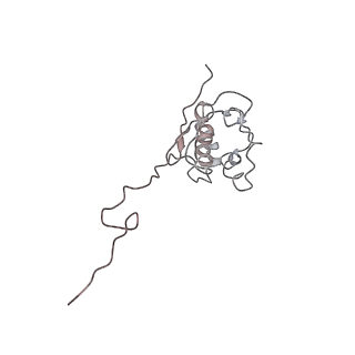 0047_6gq1_AG_v1-1
Cryo-EM reconstruction of yeast 80S ribosome in complex with mRNA, tRNA and eEF2 (GMPPCP/sordarin)