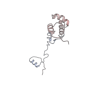 0047_6gq1_AH_v1-1
Cryo-EM reconstruction of yeast 80S ribosome in complex with mRNA, tRNA and eEF2 (GMPPCP/sordarin)