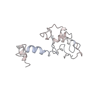 0047_6gq1_AI_v1-1
Cryo-EM reconstruction of yeast 80S ribosome in complex with mRNA, tRNA and eEF2 (GMPPCP/sordarin)