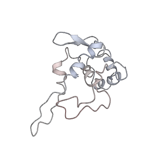 0047_6gq1_AJ_v1-1
Cryo-EM reconstruction of yeast 80S ribosome in complex with mRNA, tRNA and eEF2 (GMPPCP/sordarin)