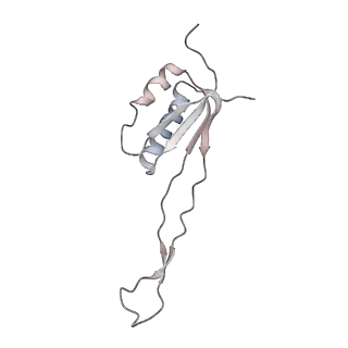 0047_6gq1_AK_v1-1
Cryo-EM reconstruction of yeast 80S ribosome in complex with mRNA, tRNA and eEF2 (GMPPCP/sordarin)