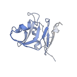0047_6gq1_AM_v1-1
Cryo-EM reconstruction of yeast 80S ribosome in complex with mRNA, tRNA and eEF2 (GMPPCP/sordarin)