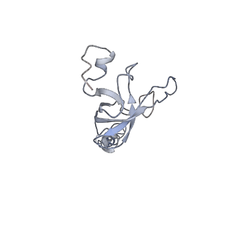 0047_6gq1_AN_v1-1
Cryo-EM reconstruction of yeast 80S ribosome in complex with mRNA, tRNA and eEF2 (GMPPCP/sordarin)