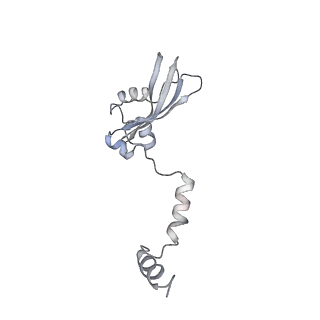 0047_6gq1_AO_v1-1
Cryo-EM reconstruction of yeast 80S ribosome in complex with mRNA, tRNA and eEF2 (GMPPCP/sordarin)
