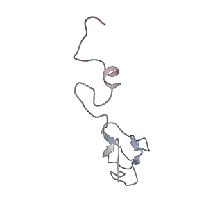 0047_6gq1_AR_v1-1
Cryo-EM reconstruction of yeast 80S ribosome in complex with mRNA, tRNA and eEF2 (GMPPCP/sordarin)