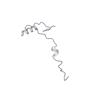 0047_6gq1_AU_v1-1
Cryo-EM reconstruction of yeast 80S ribosome in complex with mRNA, tRNA and eEF2 (GMPPCP/sordarin)
