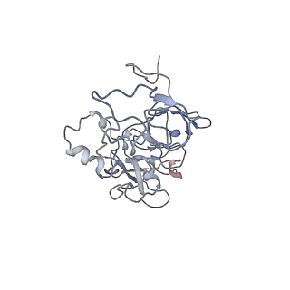 0047_6gq1_A_v1-1
Cryo-EM reconstruction of yeast 80S ribosome in complex with mRNA, tRNA and eEF2 (GMPPCP/sordarin)