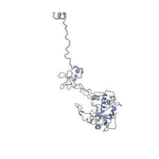 0047_6gq1_C_v1-1
Cryo-EM reconstruction of yeast 80S ribosome in complex with mRNA, tRNA and eEF2 (GMPPCP/sordarin)