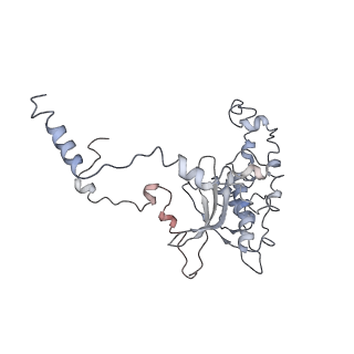 0047_6gq1_D_v1-1
Cryo-EM reconstruction of yeast 80S ribosome in complex with mRNA, tRNA and eEF2 (GMPPCP/sordarin)