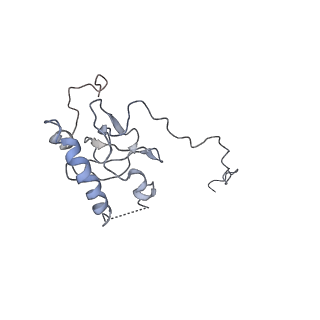 0047_6gq1_E_v1-1
Cryo-EM reconstruction of yeast 80S ribosome in complex with mRNA, tRNA and eEF2 (GMPPCP/sordarin)