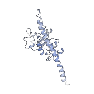 0047_6gq1_F_v1-1
Cryo-EM reconstruction of yeast 80S ribosome in complex with mRNA, tRNA and eEF2 (GMPPCP/sordarin)