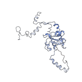 0047_6gq1_G_v1-1
Cryo-EM reconstruction of yeast 80S ribosome in complex with mRNA, tRNA and eEF2 (GMPPCP/sordarin)