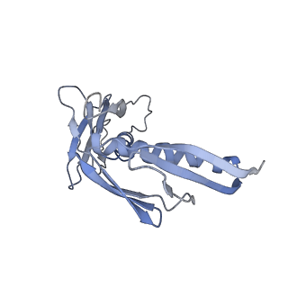 0047_6gq1_H_v1-1
Cryo-EM reconstruction of yeast 80S ribosome in complex with mRNA, tRNA and eEF2 (GMPPCP/sordarin)