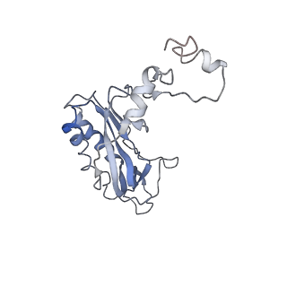 0047_6gq1_I_v1-1
Cryo-EM reconstruction of yeast 80S ribosome in complex with mRNA, tRNA and eEF2 (GMPPCP/sordarin)