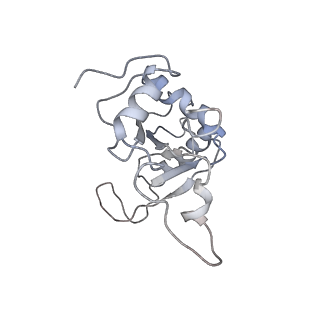 0047_6gq1_J_v1-1
Cryo-EM reconstruction of yeast 80S ribosome in complex with mRNA, tRNA and eEF2 (GMPPCP/sordarin)