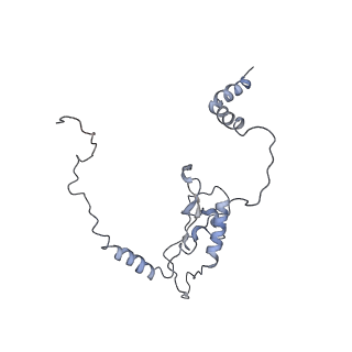0047_6gq1_L_v1-1
Cryo-EM reconstruction of yeast 80S ribosome in complex with mRNA, tRNA and eEF2 (GMPPCP/sordarin)
