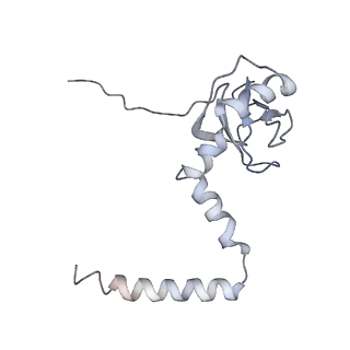 0047_6gq1_M_v1-1
Cryo-EM reconstruction of yeast 80S ribosome in complex with mRNA, tRNA and eEF2 (GMPPCP/sordarin)