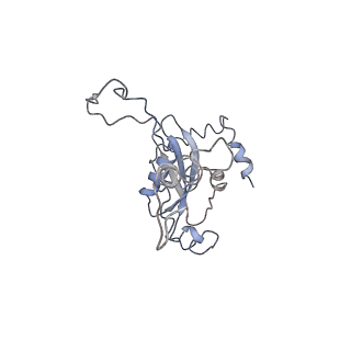 0047_6gq1_N_v1-1
Cryo-EM reconstruction of yeast 80S ribosome in complex with mRNA, tRNA and eEF2 (GMPPCP/sordarin)