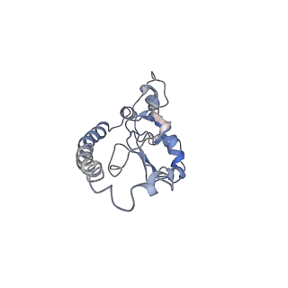 0047_6gq1_O_v1-1
Cryo-EM reconstruction of yeast 80S ribosome in complex with mRNA, tRNA and eEF2 (GMPPCP/sordarin)
