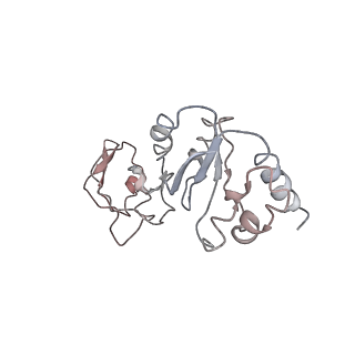 0047_6gq1_P0_v1-1
Cryo-EM reconstruction of yeast 80S ribosome in complex with mRNA, tRNA and eEF2 (GMPPCP/sordarin)