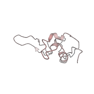 0047_6gq1_P2_v1-1
Cryo-EM reconstruction of yeast 80S ribosome in complex with mRNA, tRNA and eEF2 (GMPPCP/sordarin)