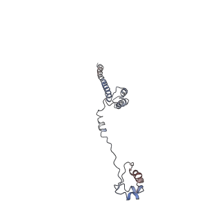 0047_6gq1_R_v1-1
Cryo-EM reconstruction of yeast 80S ribosome in complex with mRNA, tRNA and eEF2 (GMPPCP/sordarin)