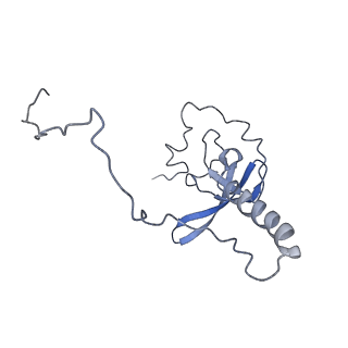 0047_6gq1_T_v1-1
Cryo-EM reconstruction of yeast 80S ribosome in complex with mRNA, tRNA and eEF2 (GMPPCP/sordarin)